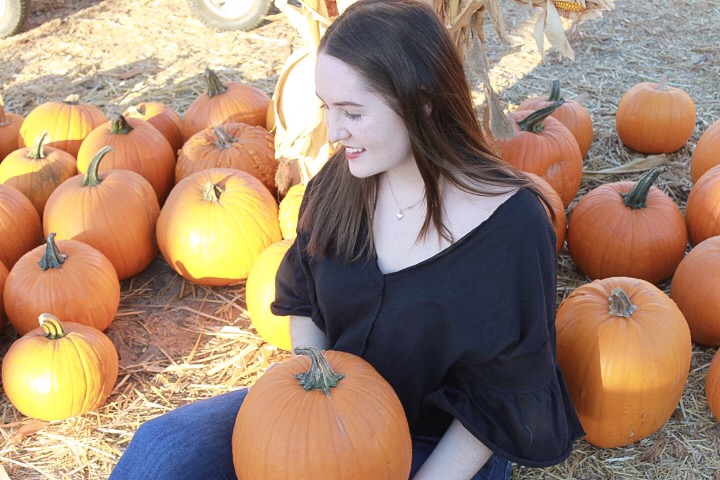 Pumpkin Patch